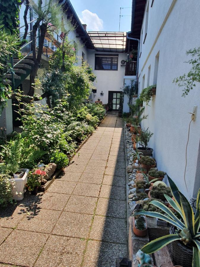 Appartement Roiss بودرسدورف ام سي المظهر الخارجي الصورة